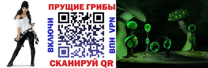 Псилоцибиновые грибы мухоморы  Электросталь 