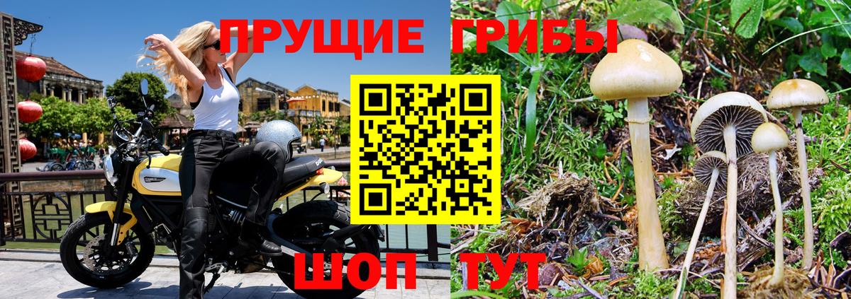 Электросталь  Галлюциногенные грибы Psilocybe  Вход с VPN  магазин  наркотиков  Псилоцибиновые грибы MAGIC MUSHROOMS 